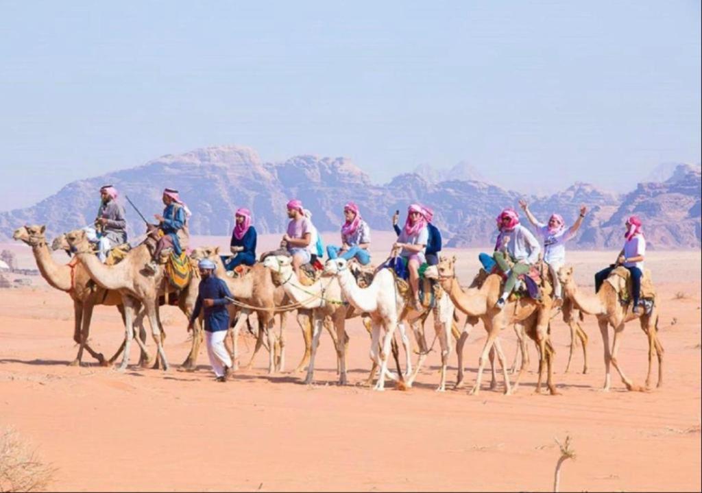 Bedouin Adventure & Tours Hotel Wadi Rum Bagian luar foto
